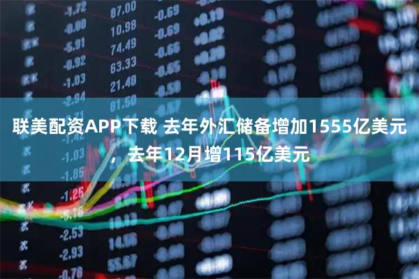 联美配资APP下载 去年外汇储备增加1555亿美元，去年12月增115亿美元