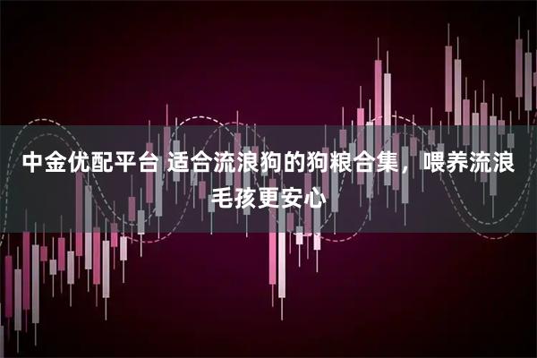 中金优配平台 适合流浪狗的狗粮合集，喂养流浪毛孩更安心