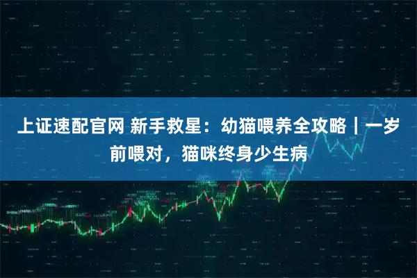 上证速配官网 新手救星：幼猫喂养全攻略｜一岁前喂对，猫咪终身少生病