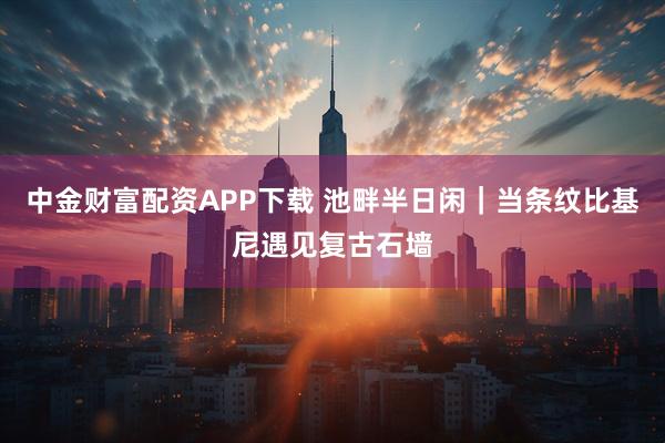 中金财富配资APP下载 池畔半日闲｜当条纹比基尼遇见复古石墙